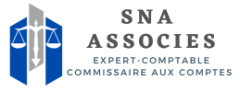 cropped-SNA-ASSOCIES-logo.png